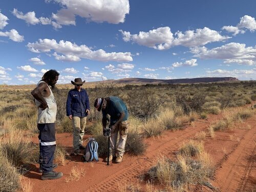 Keeping Good Company to Fight Environmental Destruction