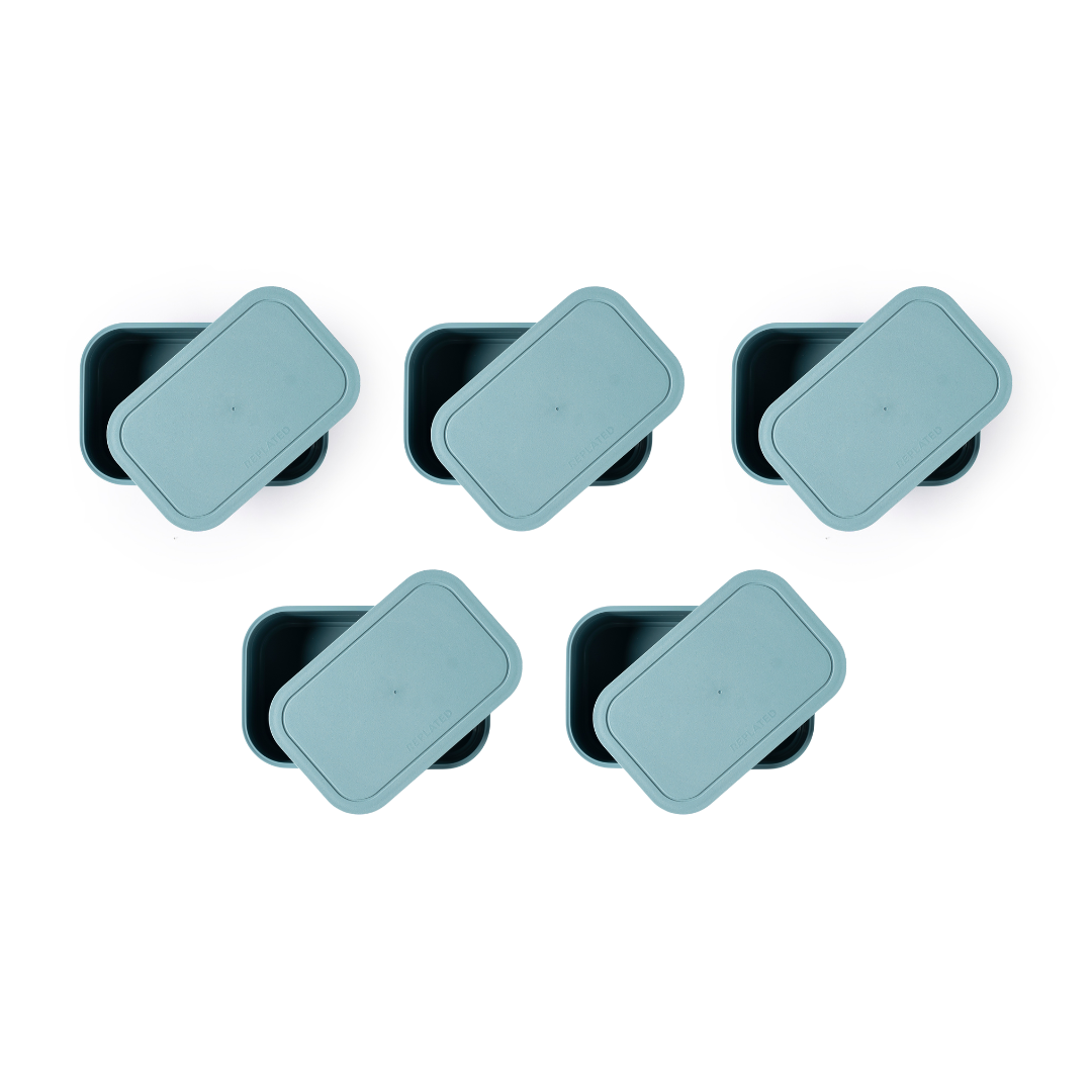 Rental Fleet — Replated