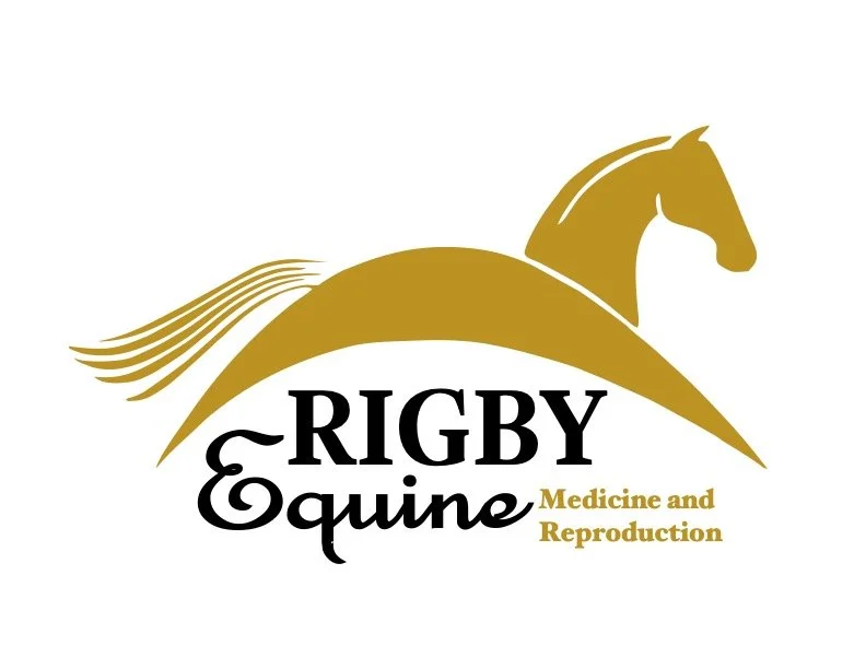 contact us — Rigby Equine