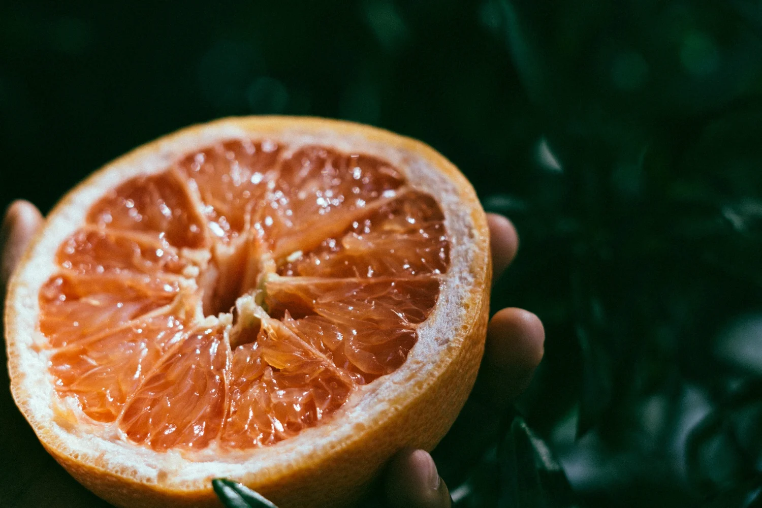 Fruit Special  (23 of 56).jpg
