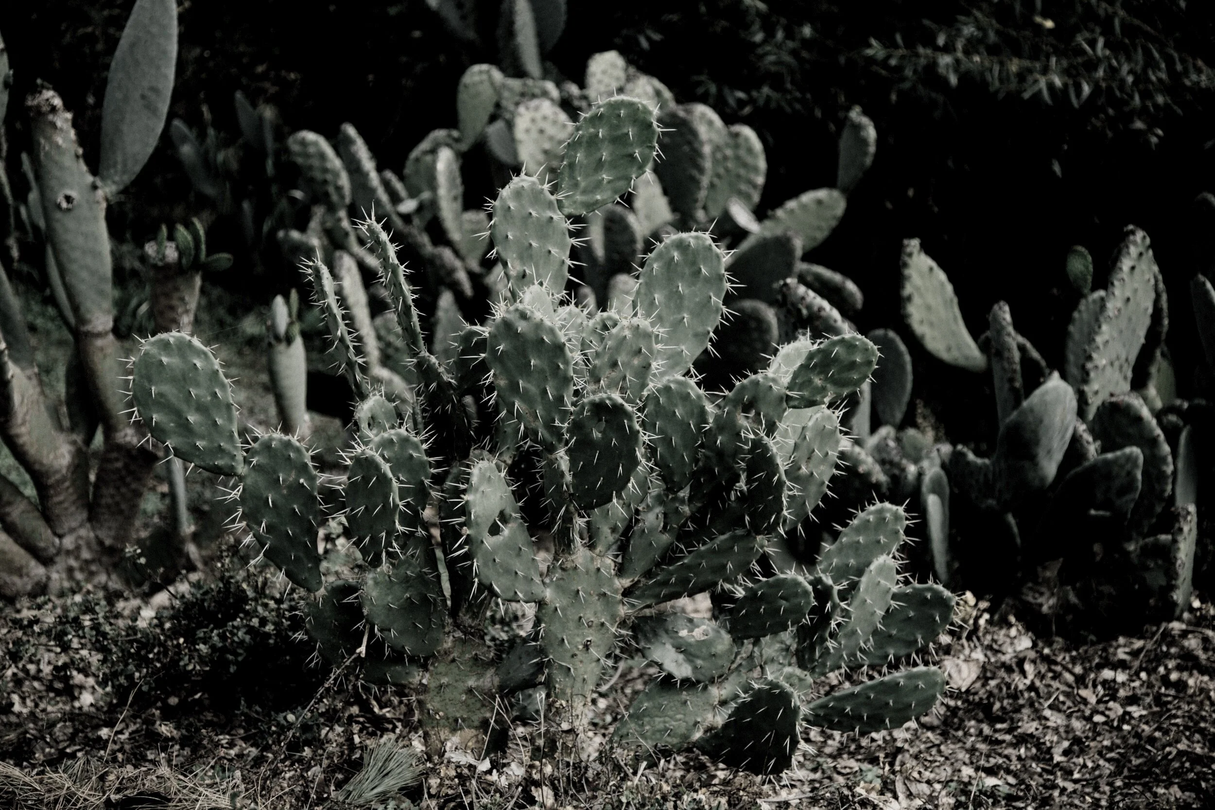 The Great Interruption