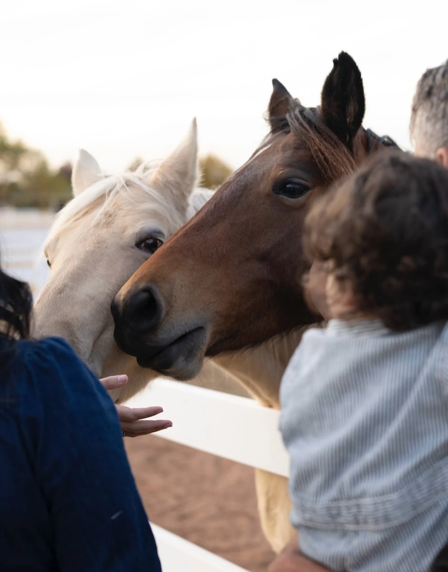 Fall Favorites Edition No. 7 

Ely Fair Photography, Oklahoma City Family Photographer