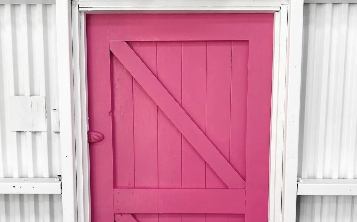 back door.jpg