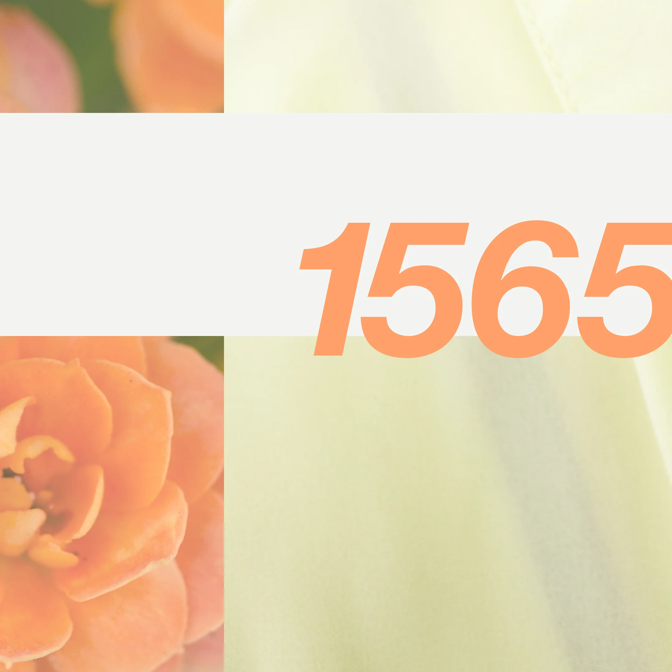 Proposed Instagram Post for Pantone