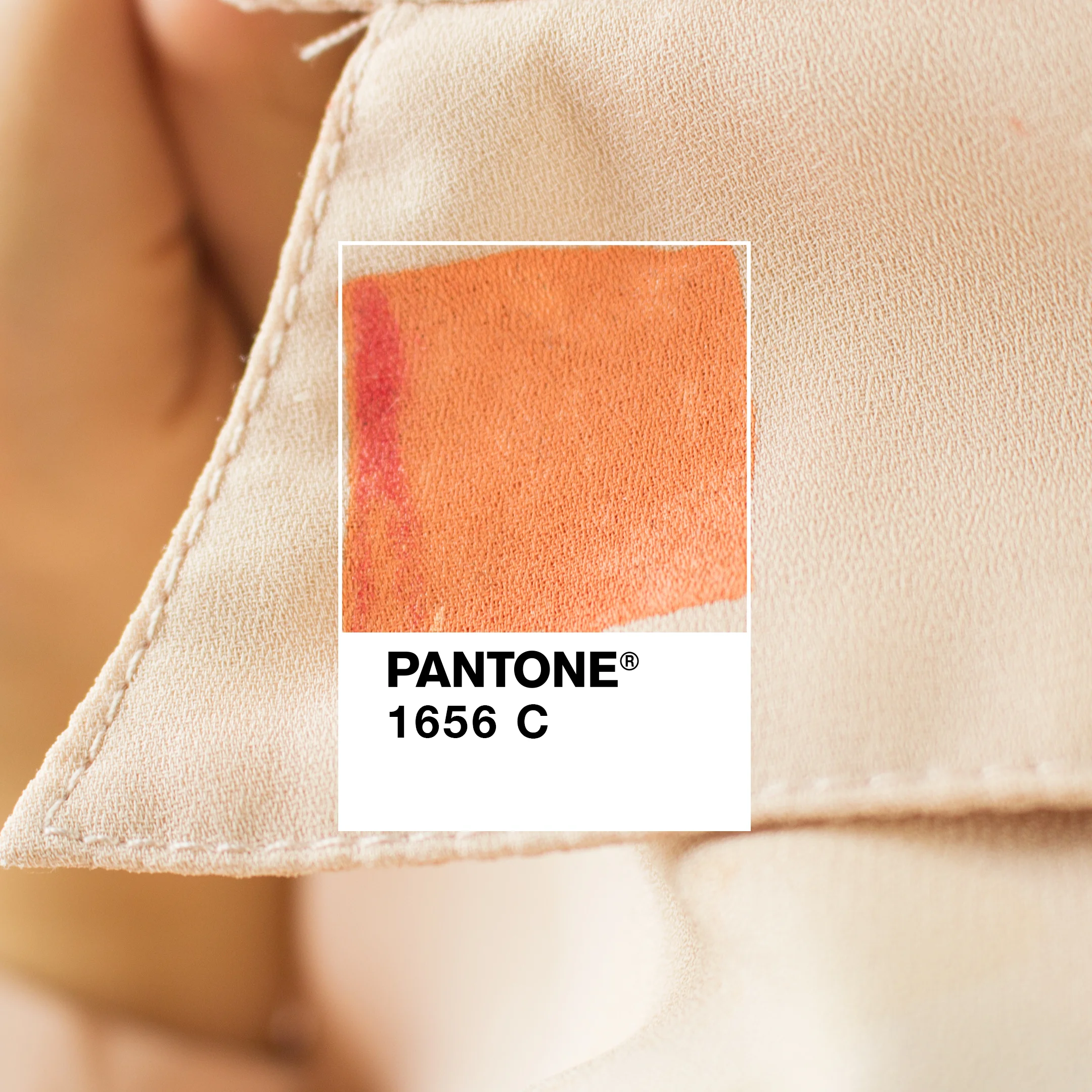 Proposed Instagram Post for Pantone