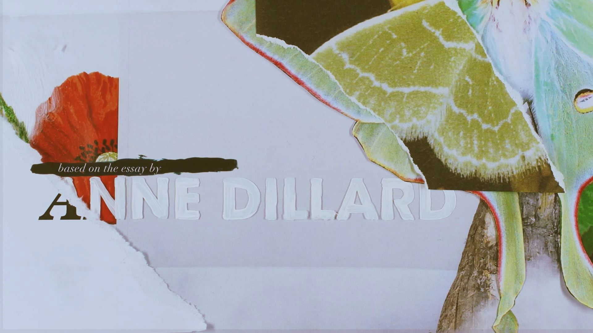 Fecundity proposed title sequence styleframe