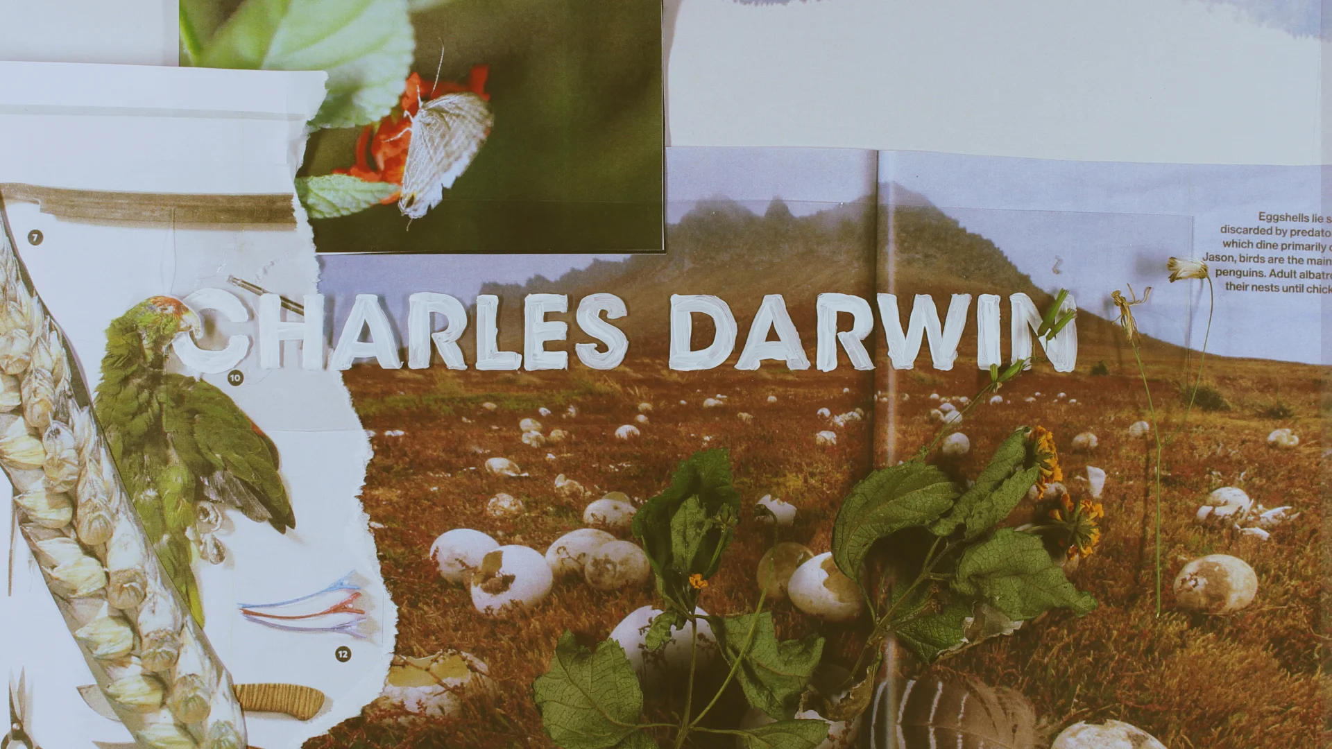 Fecundity proposed title sequence styleframe