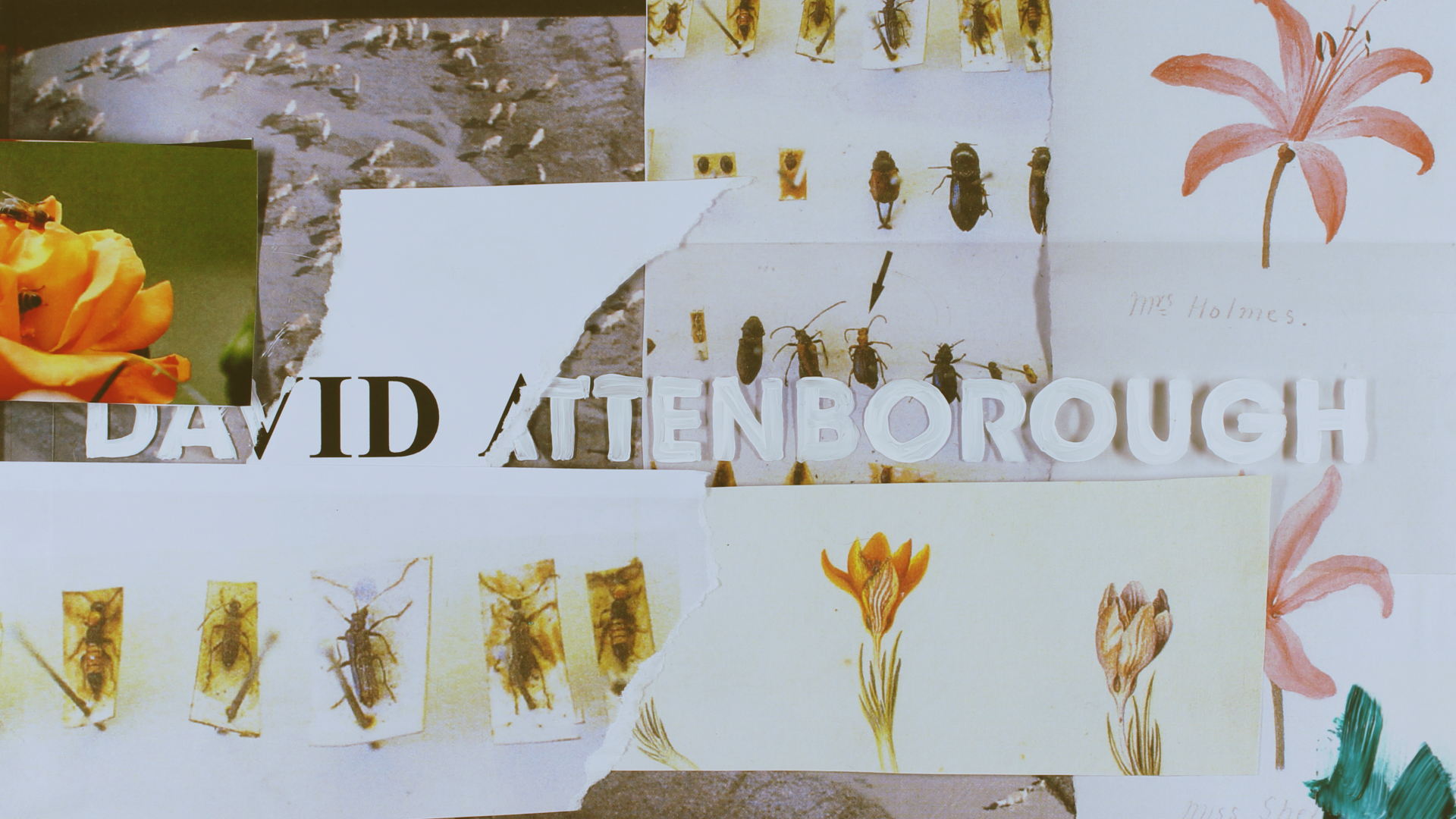 Fecundity proposed title sequence styleframe