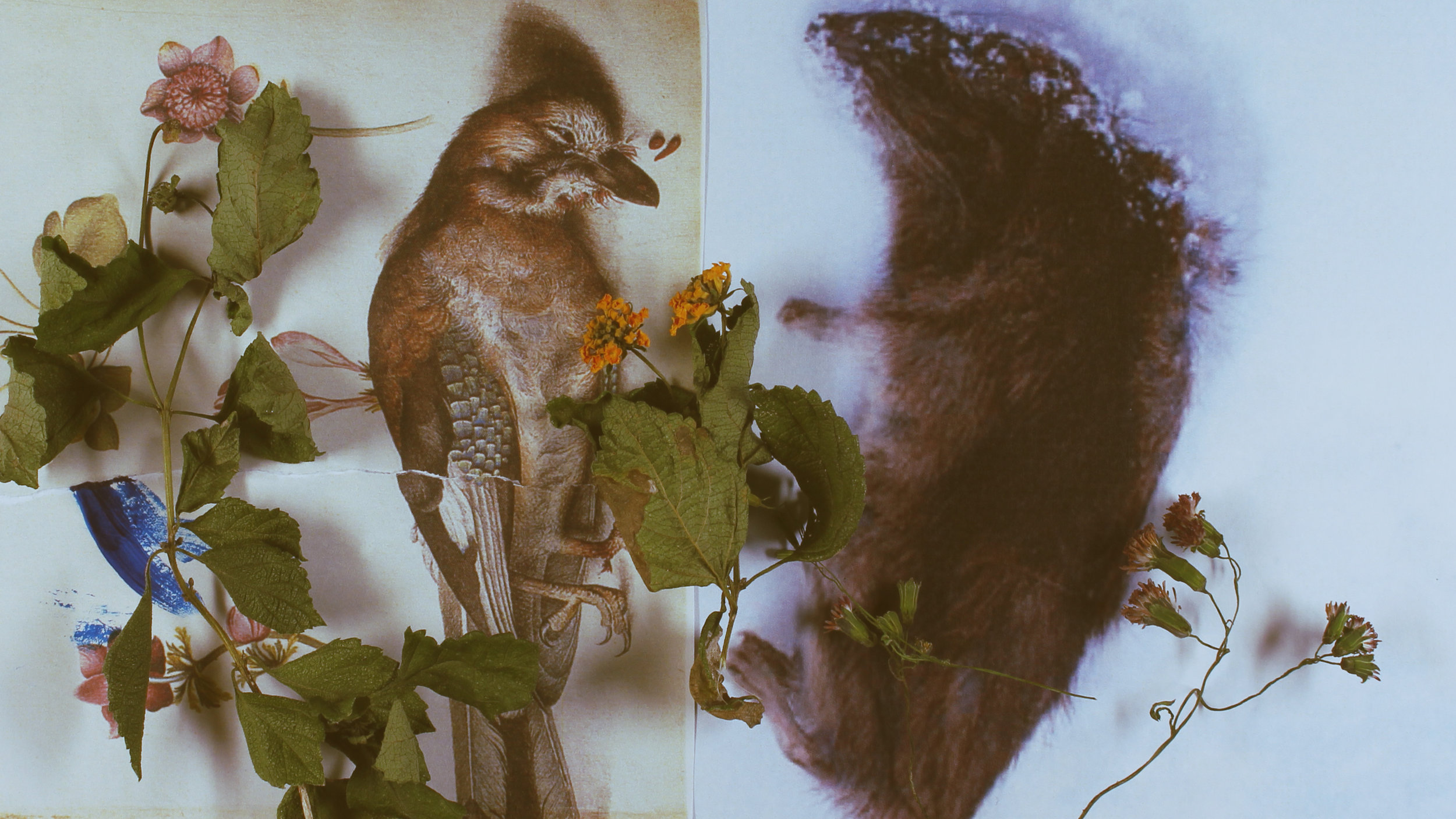 Fecundity proposed title sequence styleframe