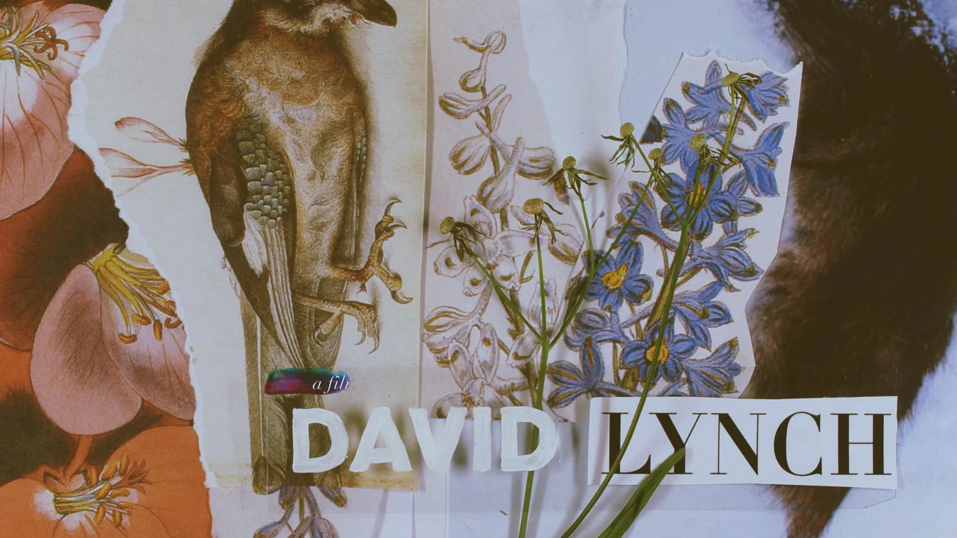 Fecundity proposed title sequence styleframe