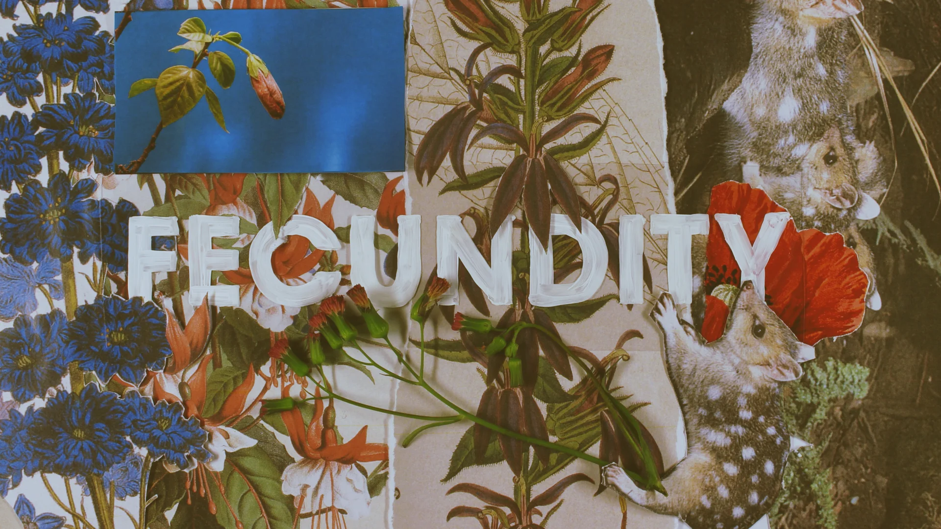 Fecundity proposed title sequence styleframe