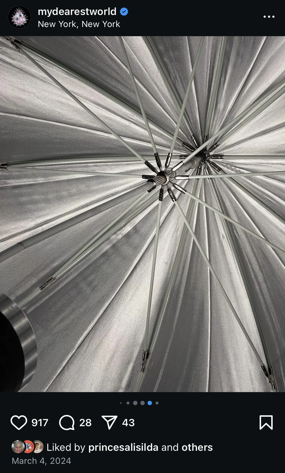  Sophia Holland - photographer 