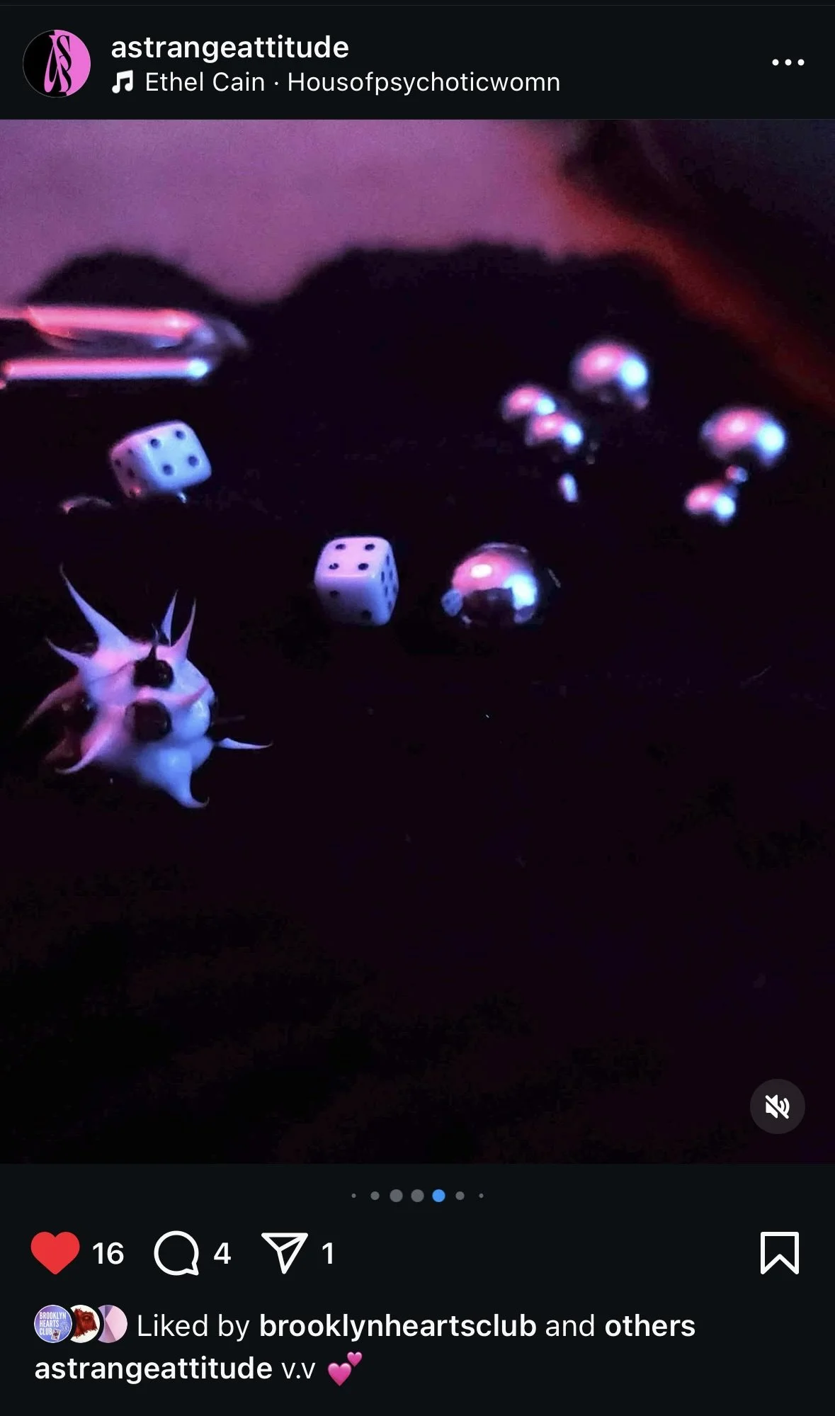  Sophia Holland - photographer, stylist, copywriter 