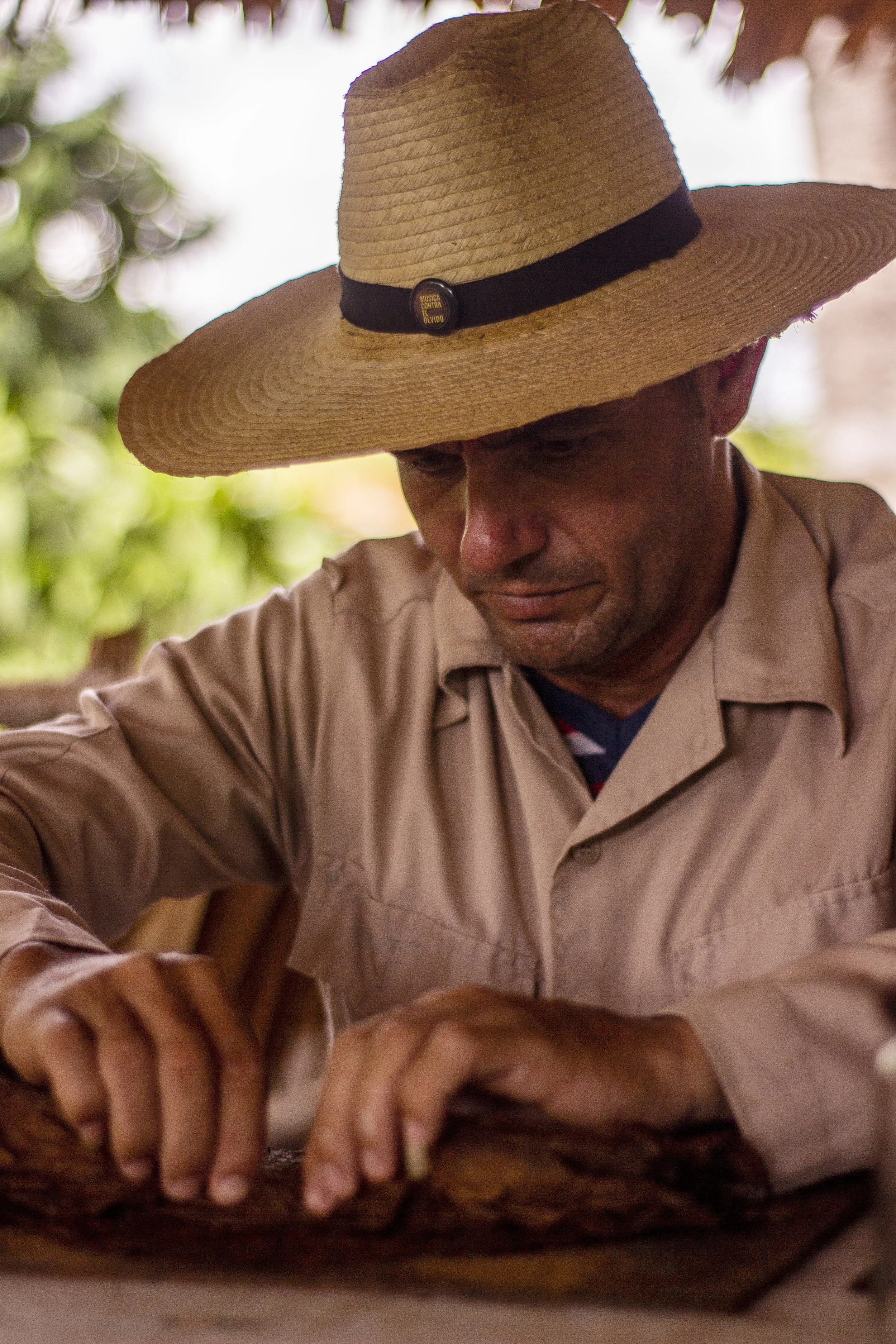A farm worker rolling a cigar