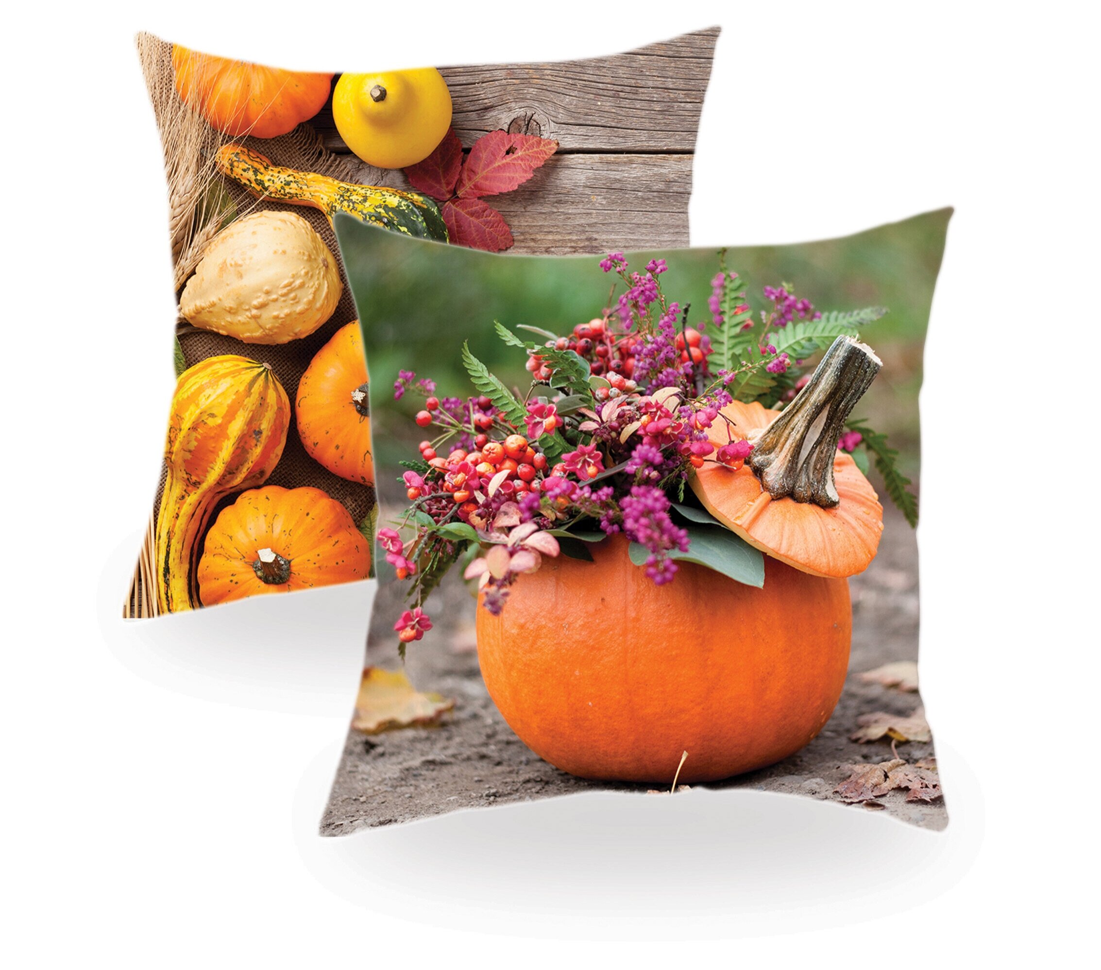 Leuchtendes Kürbis-Orange begrüßt den goldenen Herbst und bringt Farbe in trübe Regentage!
