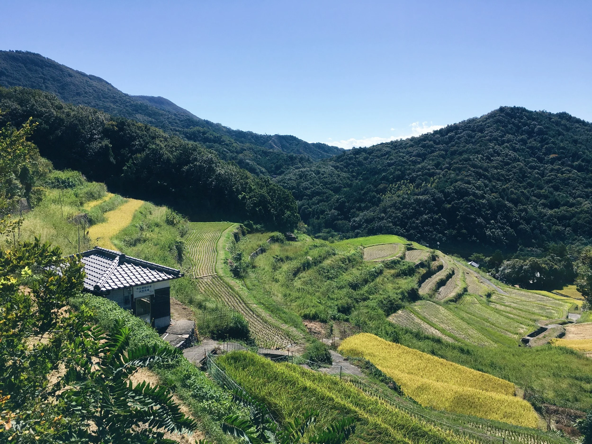 Shodoshima Terraces