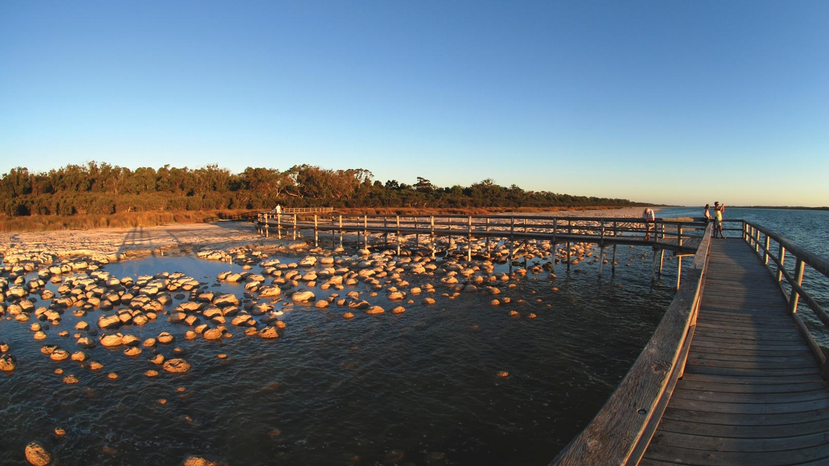 See ancient thrombolites