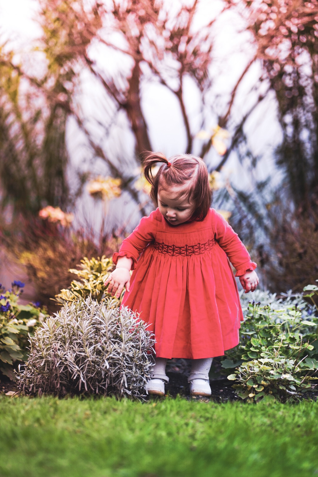 AMELIE ALL MUMSTALK VELVET RED DRESS CERISE LOSANGE 1.jpeg