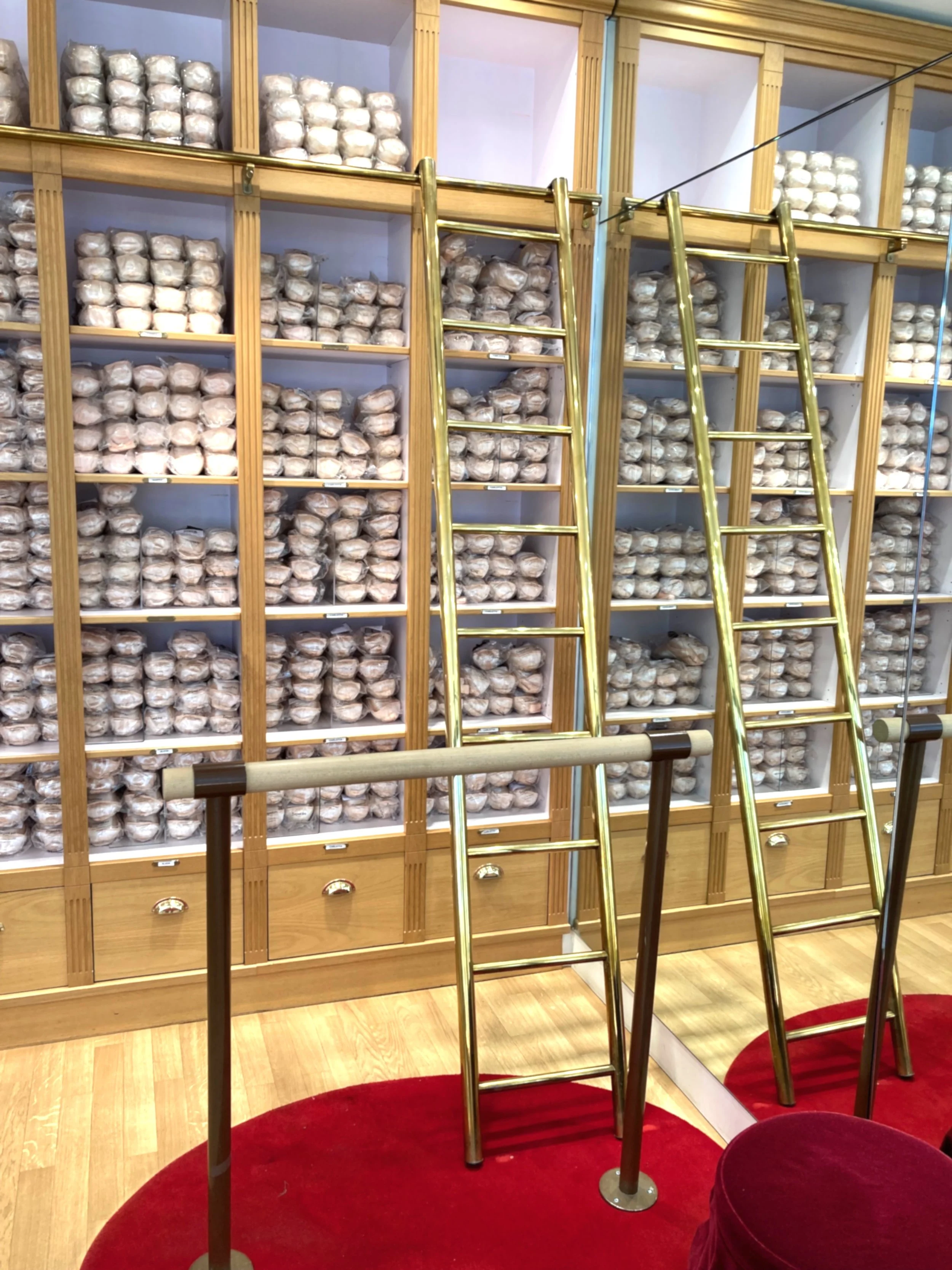 DANCE INTO A WORLD OF GRACE AND ELEGANCE : REPETTO