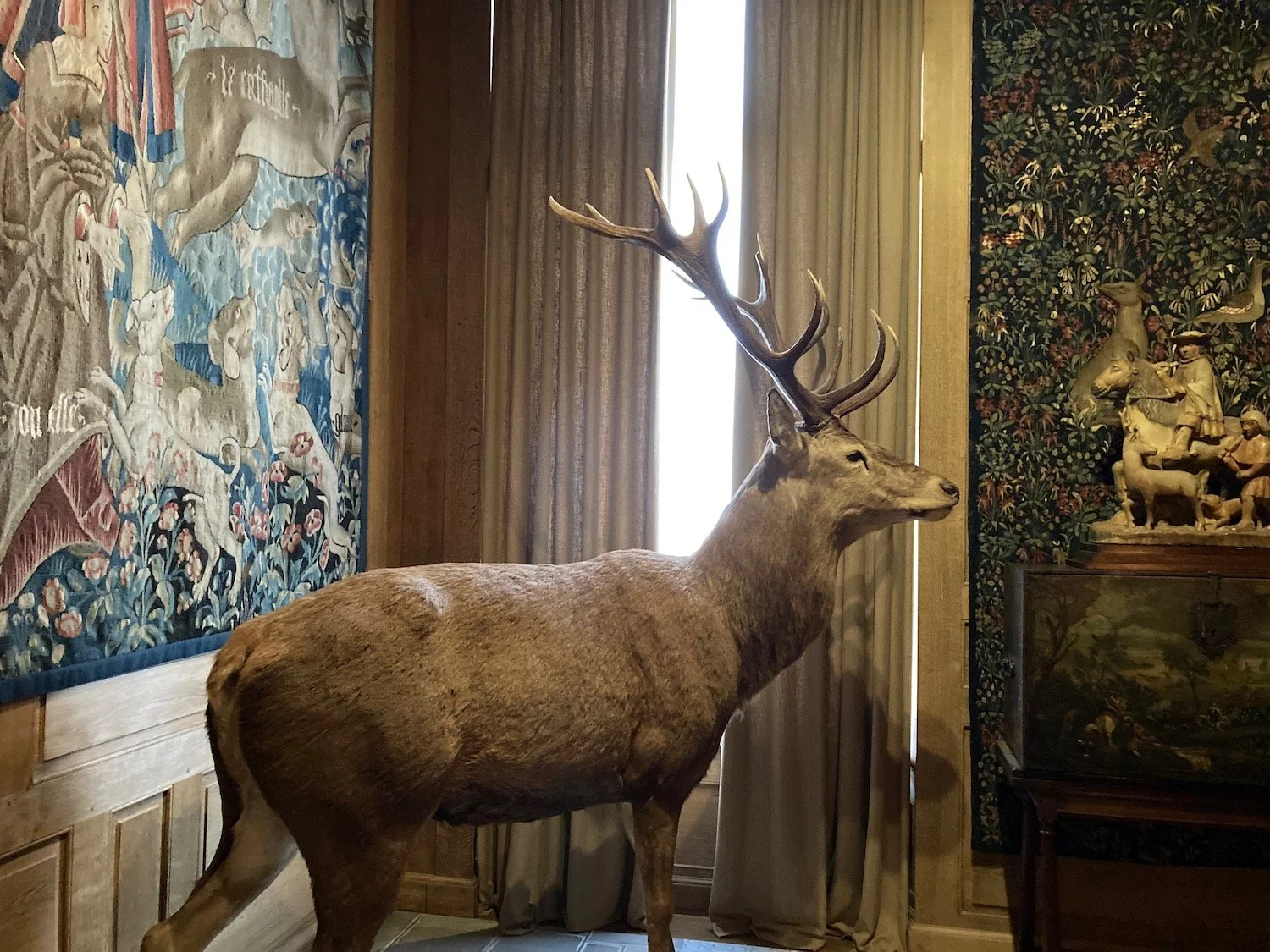 NATURE & HUNTING MUSEUM : A SINGULAR EXPERIENCE FULL OF SURPRISING ODDITIES