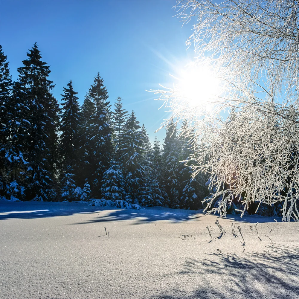 Beat Winter Blues - Competition - Win FREE hotdesking until the summer