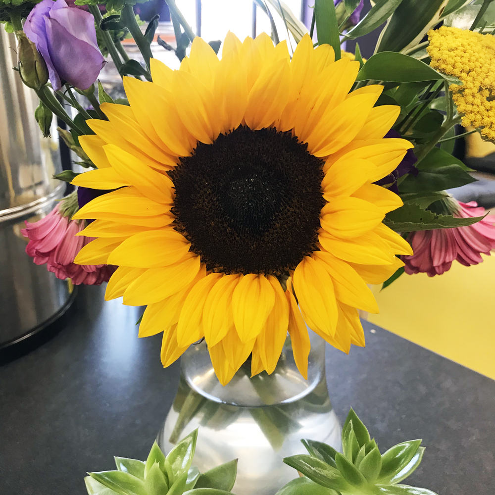 Summer Sizzle - Competition - Win FREE hotdesking through the summer