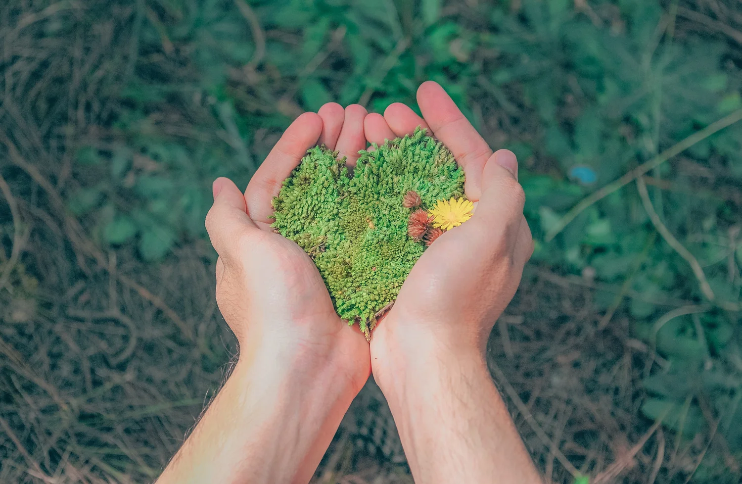 Why coworking is good for the environment