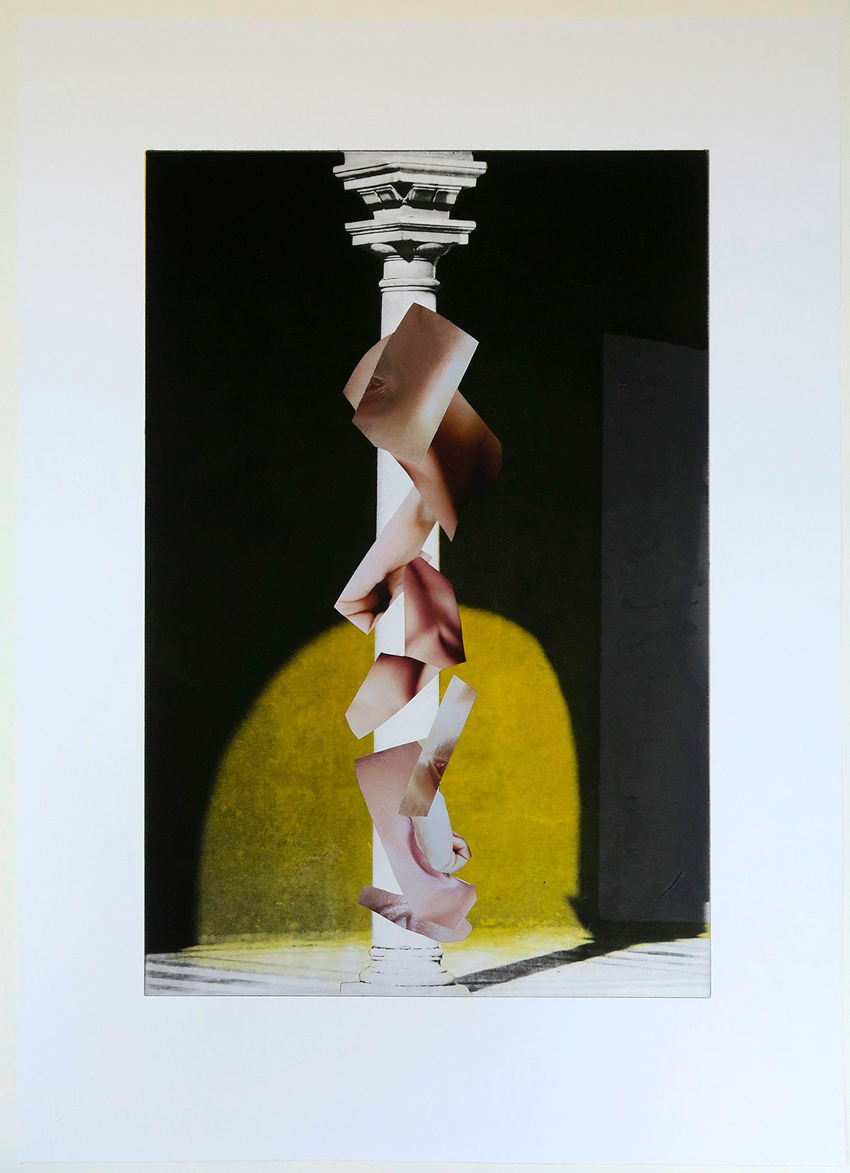 MaryRuthWalsh-contemporary-art-collage_painting-Skin-Deep-The-Order-of-Things.jpg