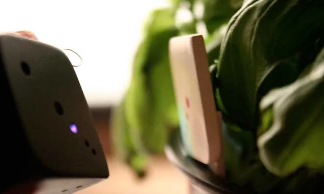 Linfabeat. How are my plants doing? Let me listen