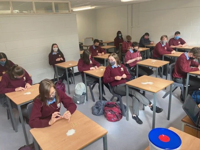 TY hit the ground running!