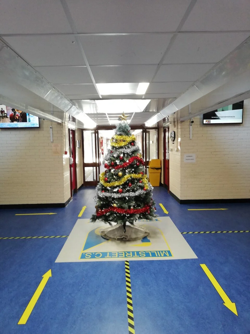 School Tree