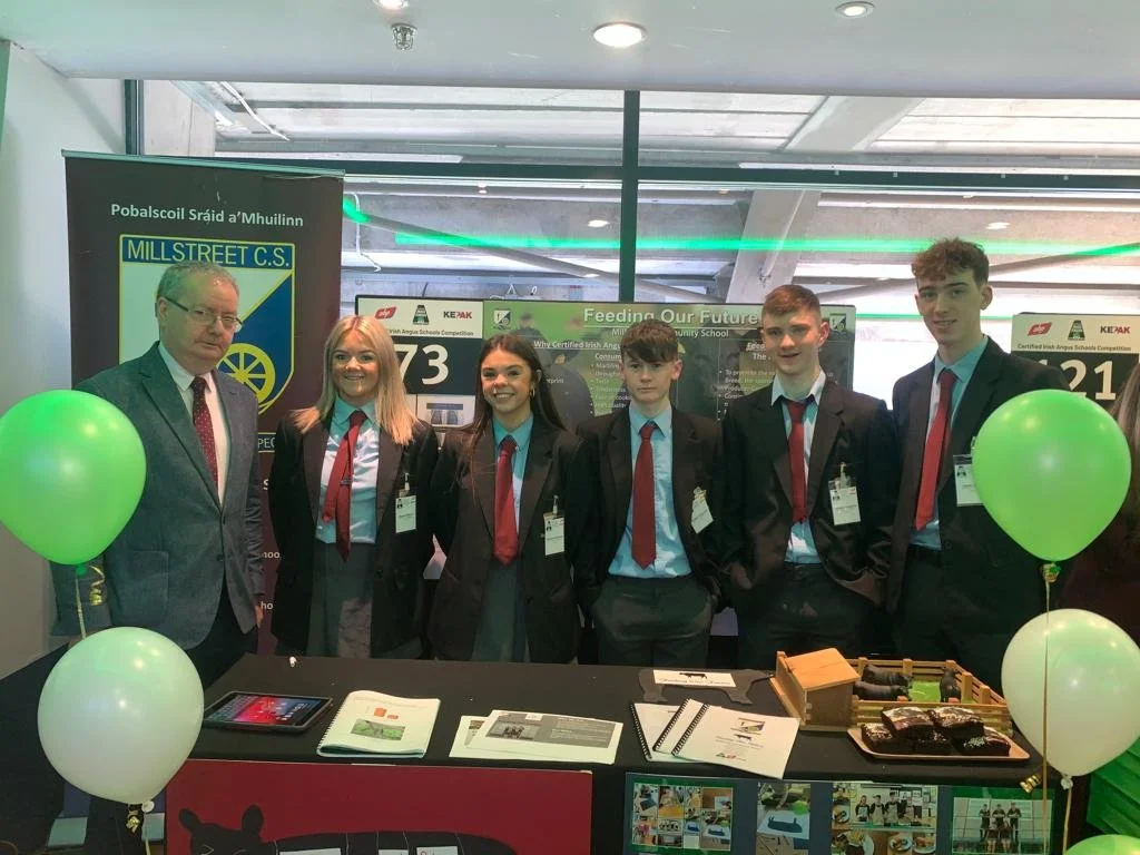 Angus Grazing Croke Park