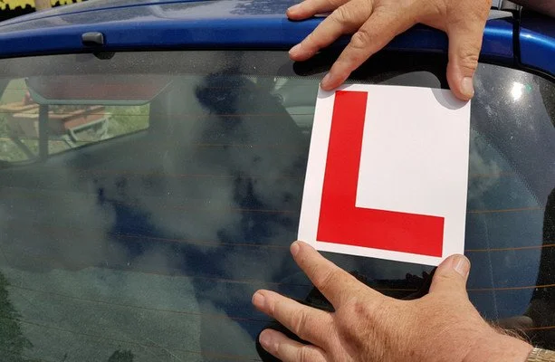 SURVEY- help out TY Young Scientist on "Learning to Drive Experience"