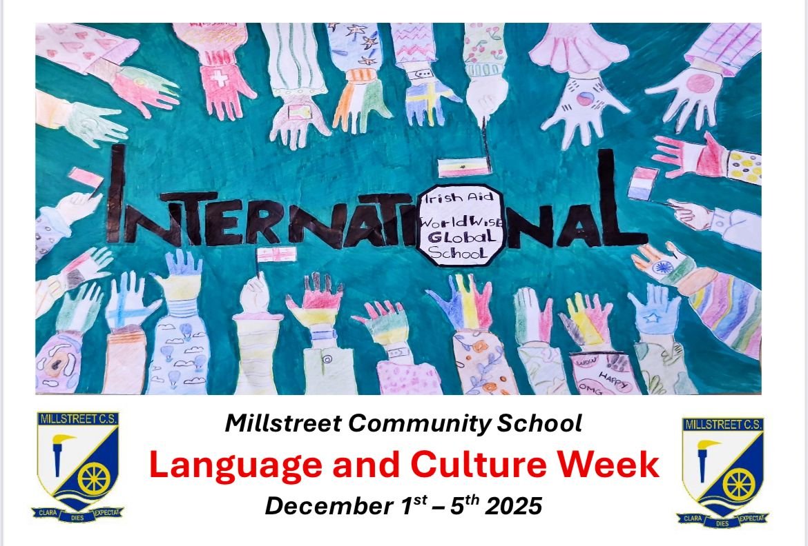 WhatsApp Image 2025-11-14 at 11.50.27.jpeg