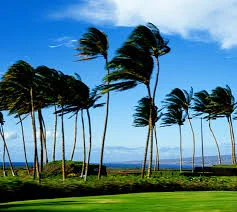 wind.jpeg