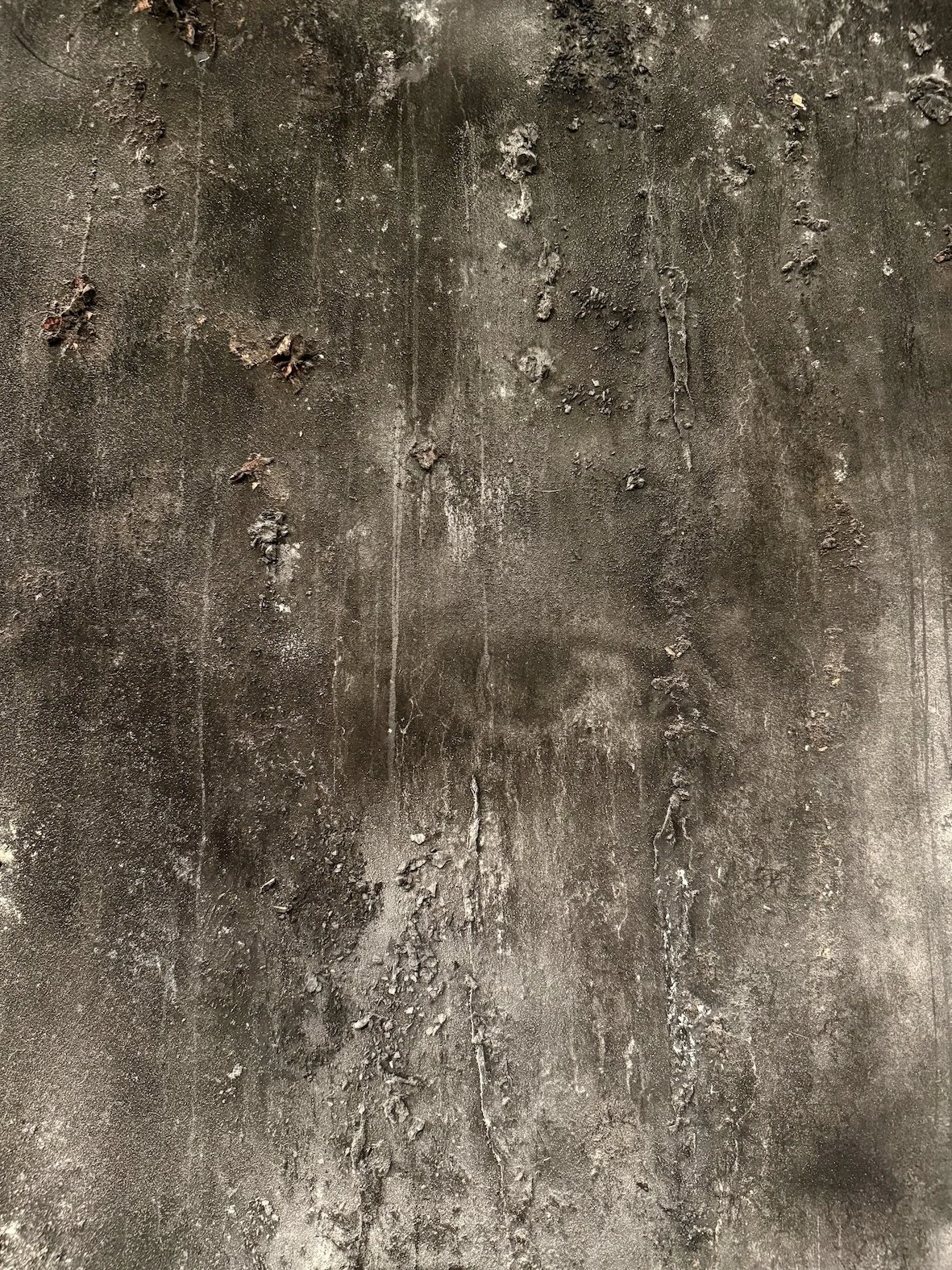  The final part of the triptych peers out through layers of burnt wood, embers and charcoal dust - held in a meaningless experience defined by the counting down of days