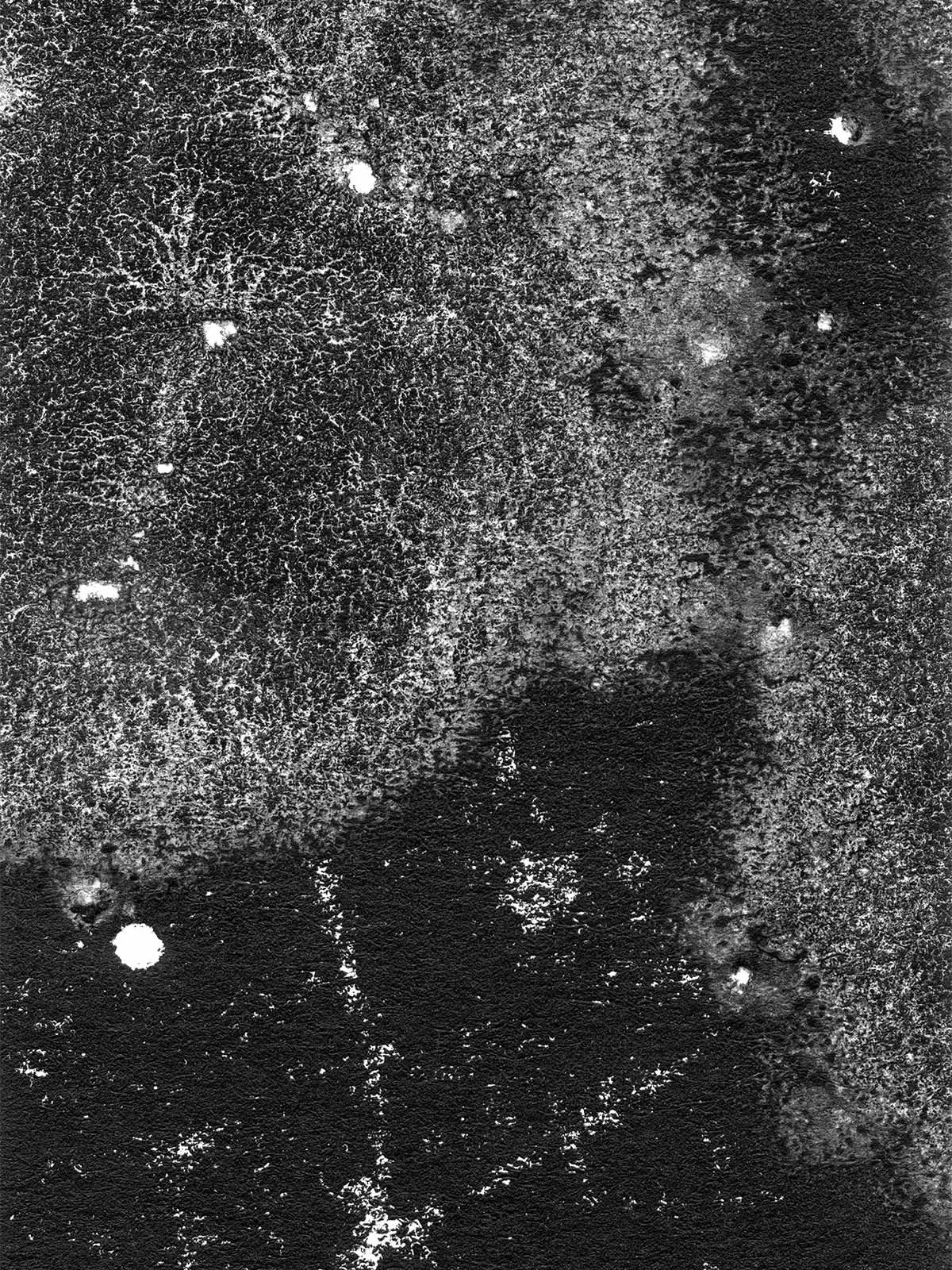 Monoprint #11 – 70x100cm