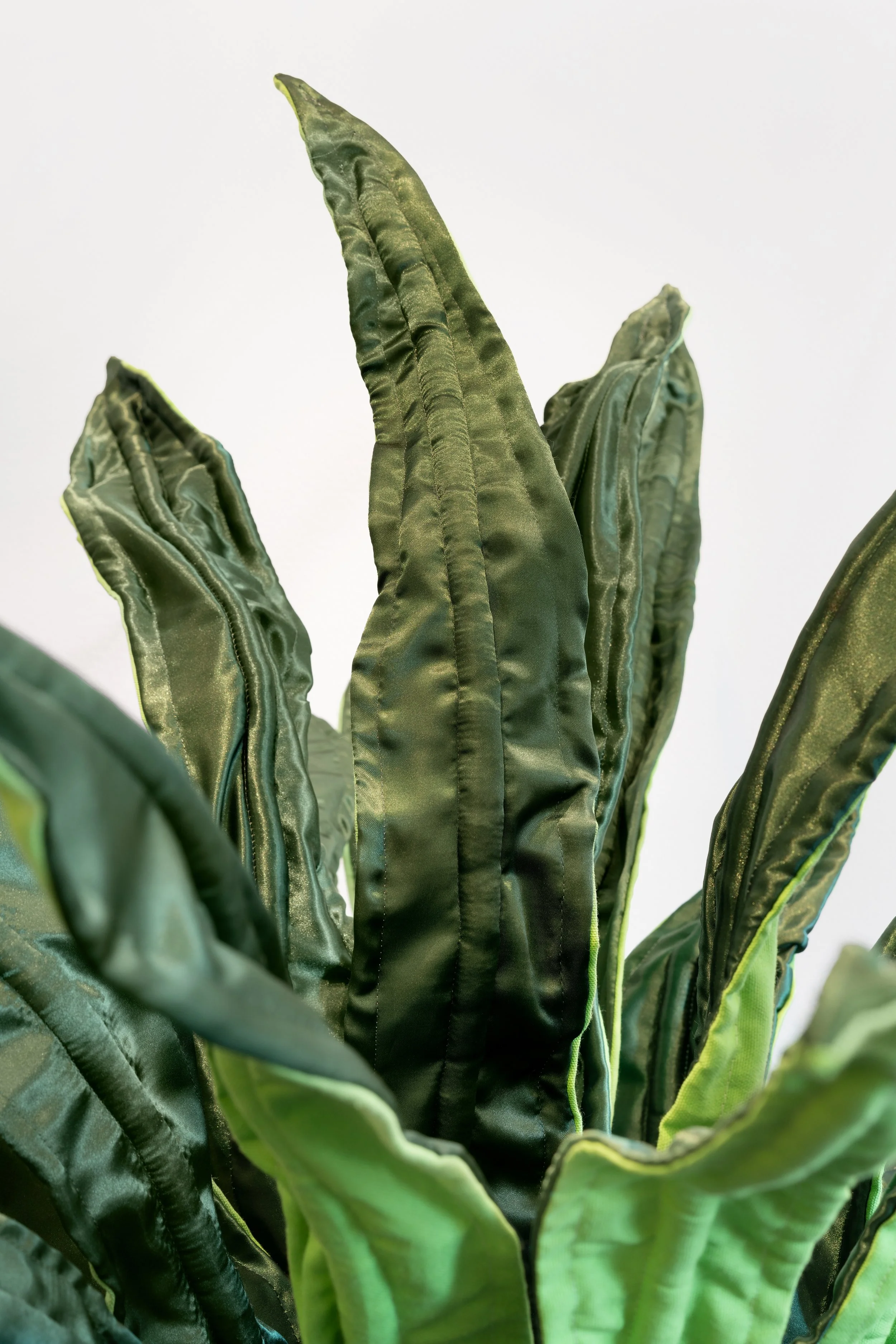 plant detail