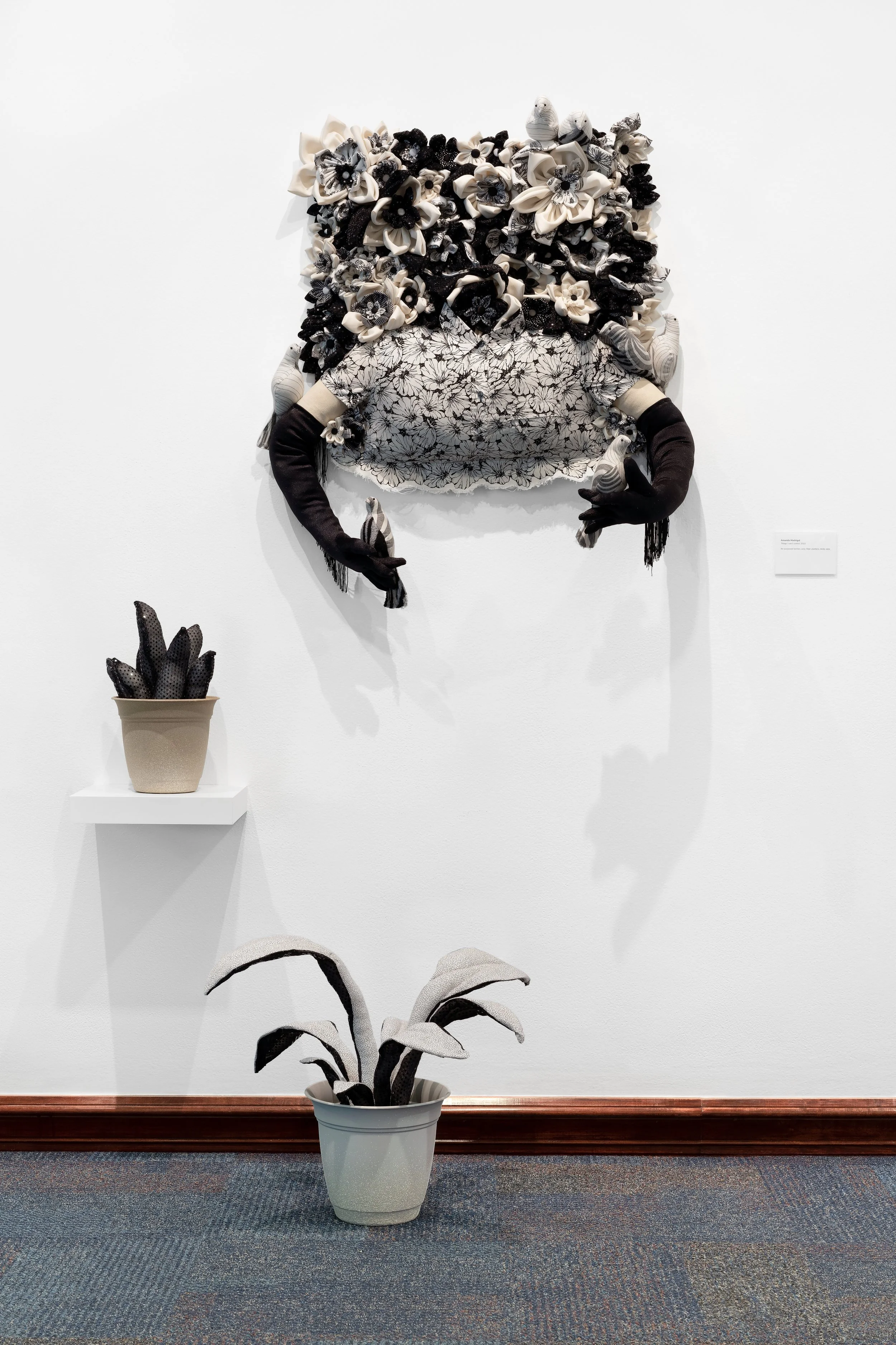 Things i cant control