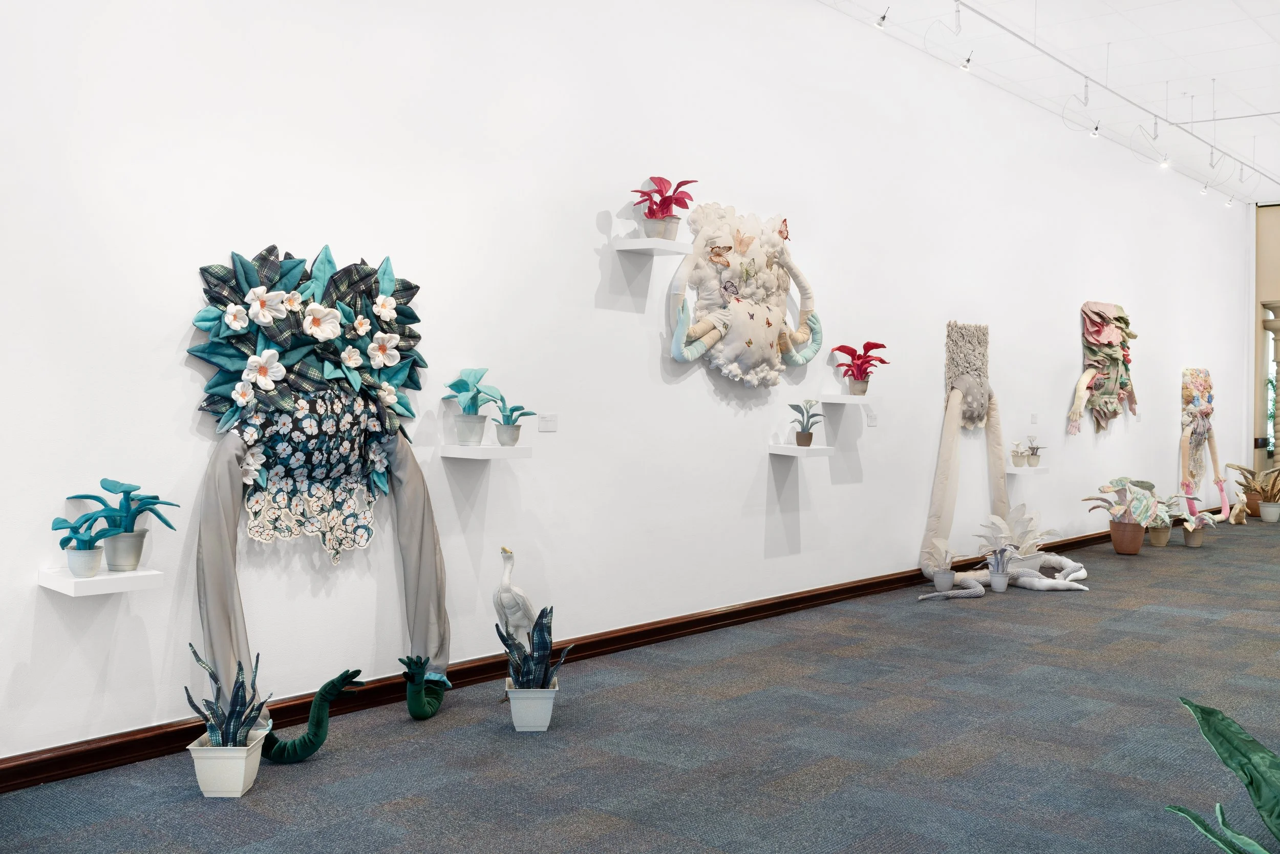 Gallery View