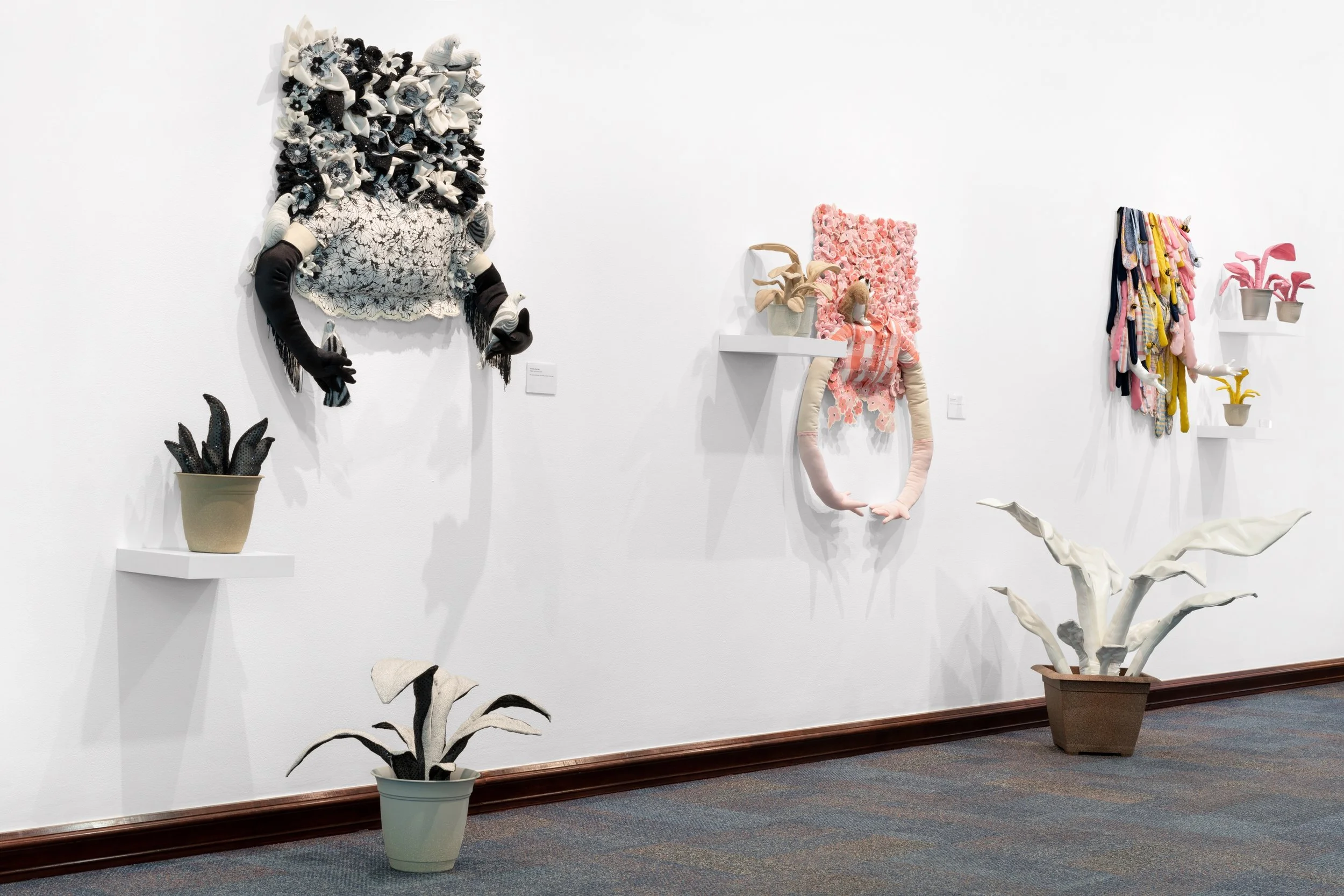 gallery view
