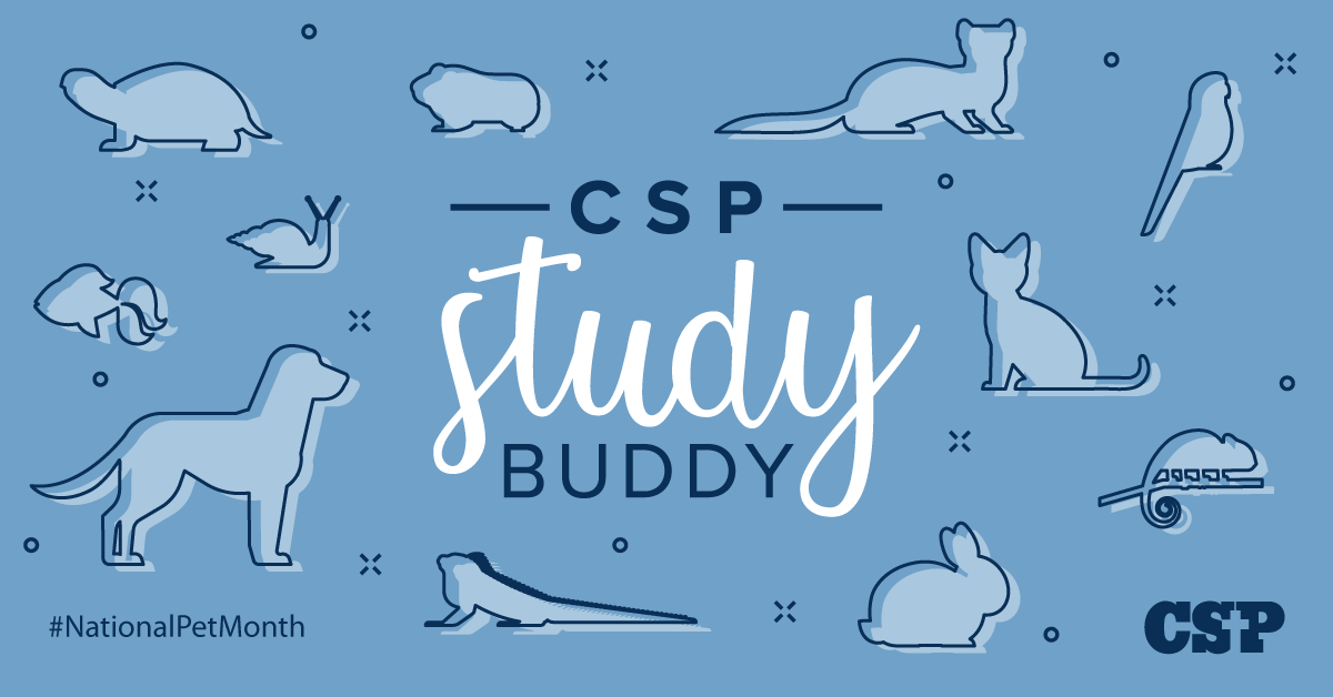 201805-1200x628-StudyBuddyContest-FB1-CSP.png