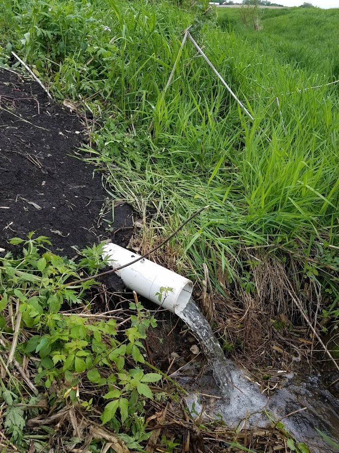 20170519_142456.jpg