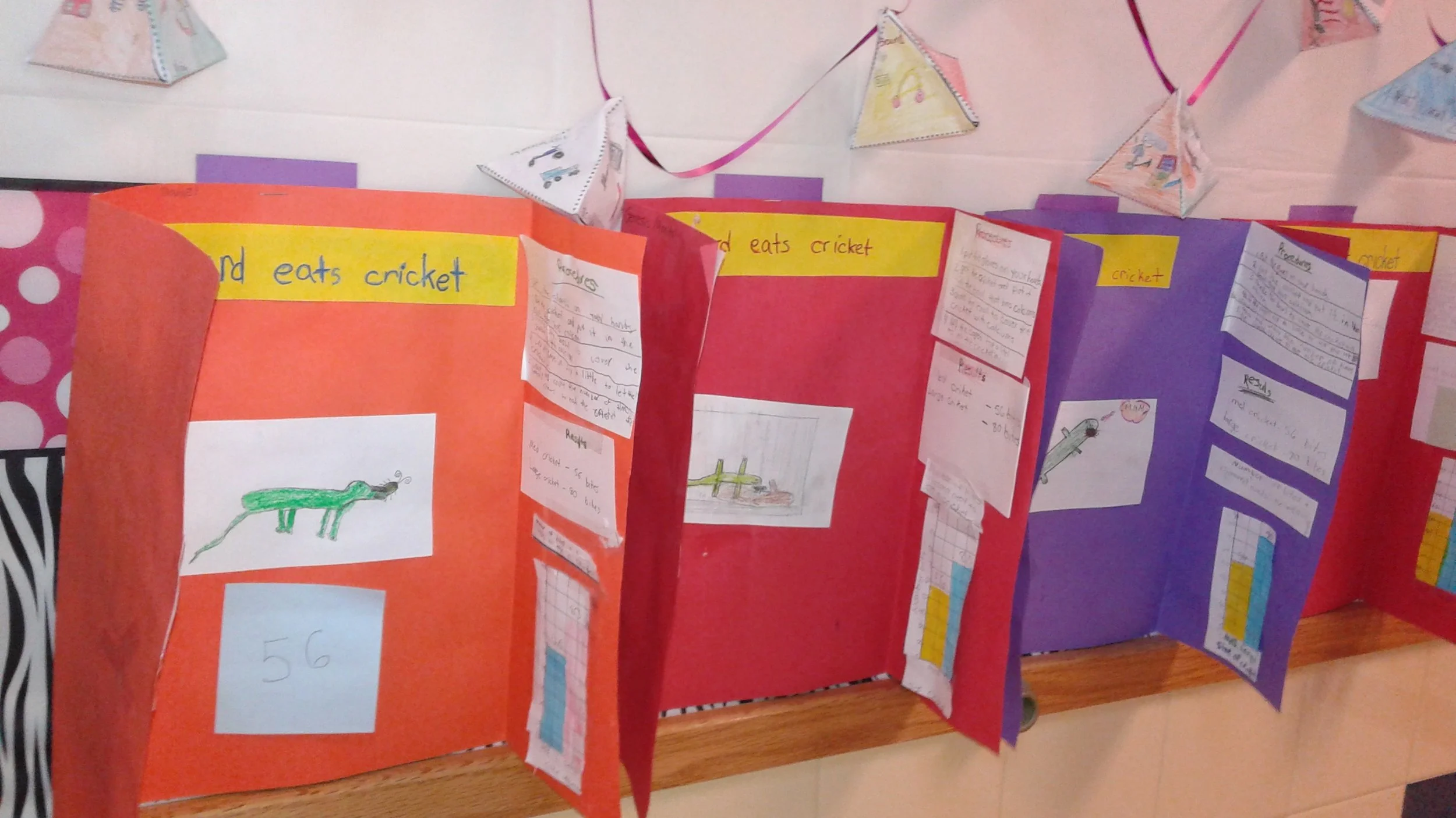 ScienceFair.jpg