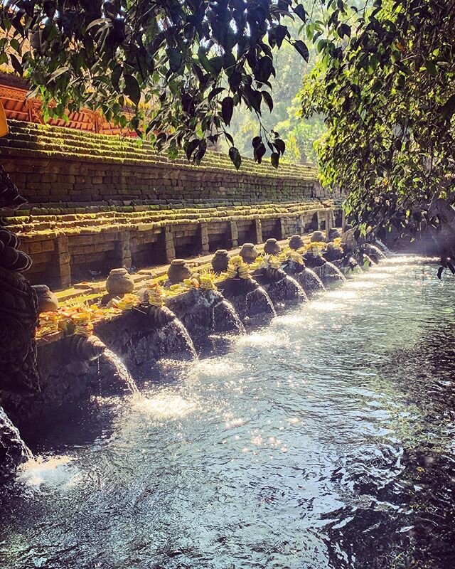 there&rsquo;s magic in the water 💦 💎 🦋.
.
.
.
#bali #watertemple #tirtaempul #blessings #agua #cleansing #ceremony #magic #fresh #water