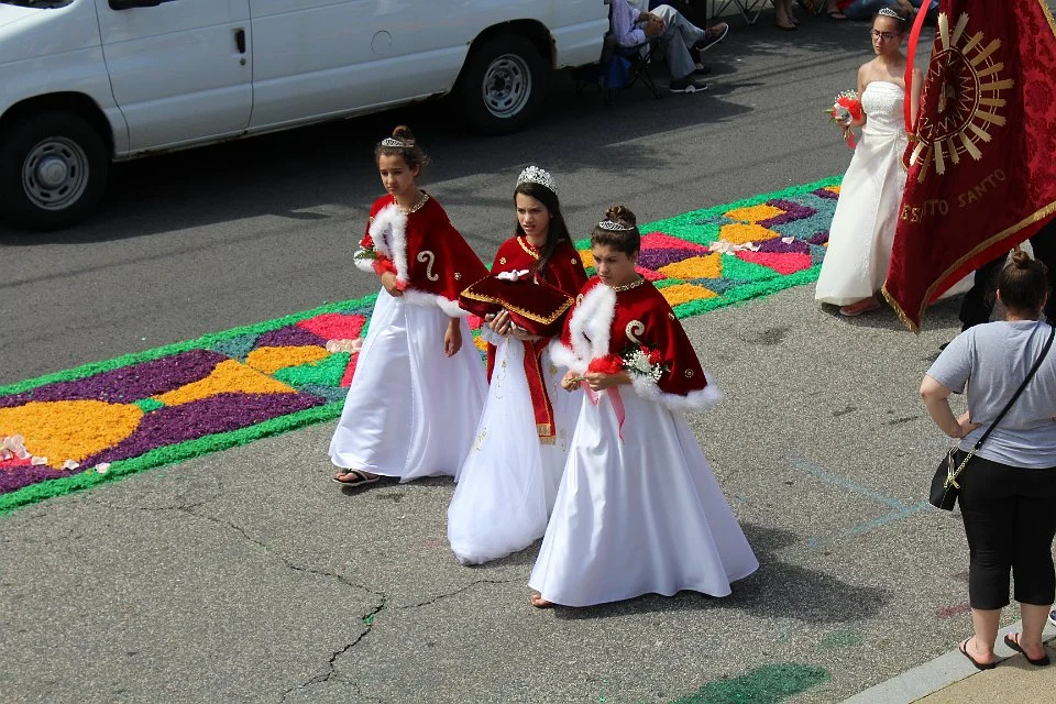 Annual Feast, 2017 (summary)