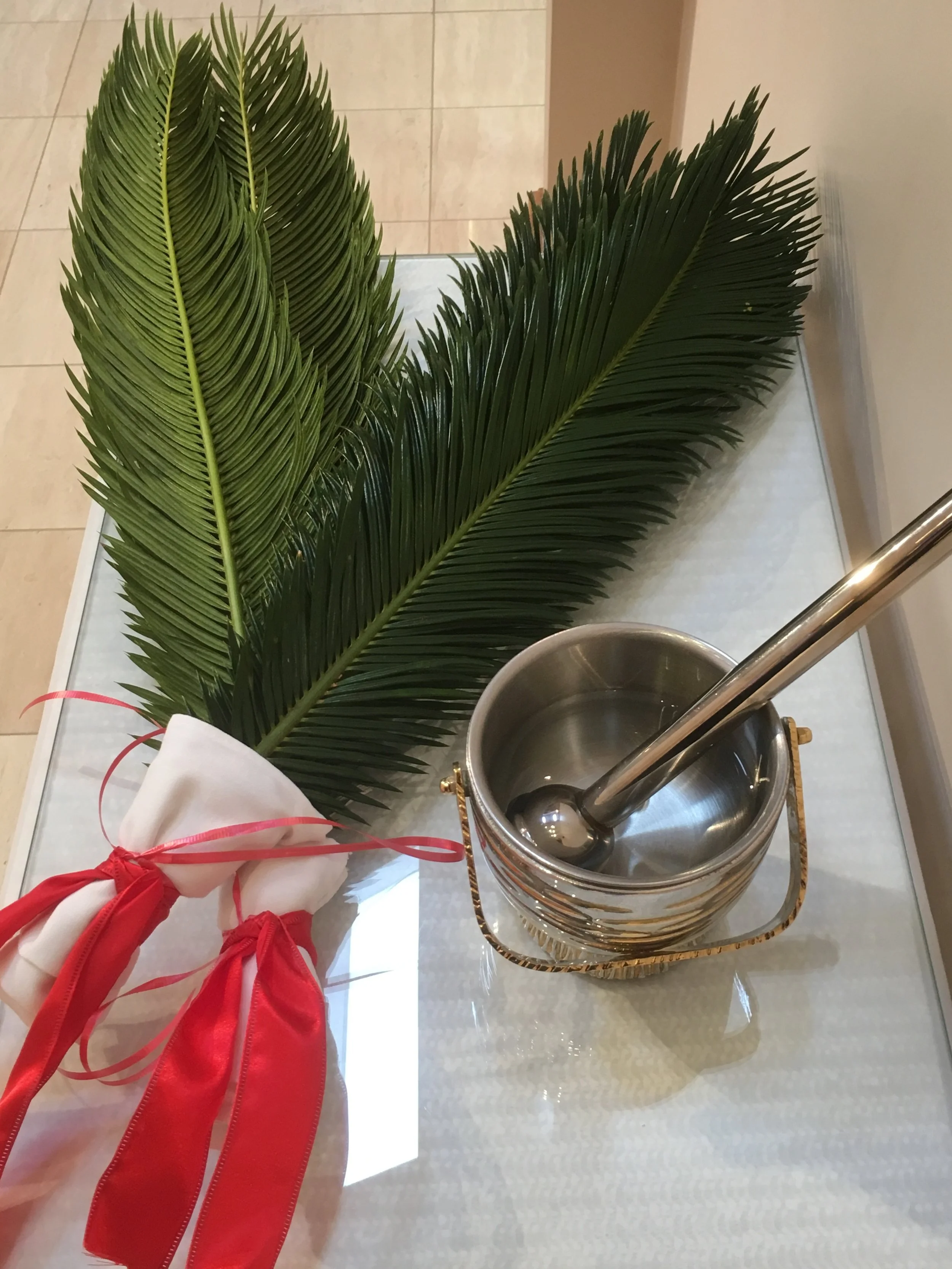 Palm Sunday 2019