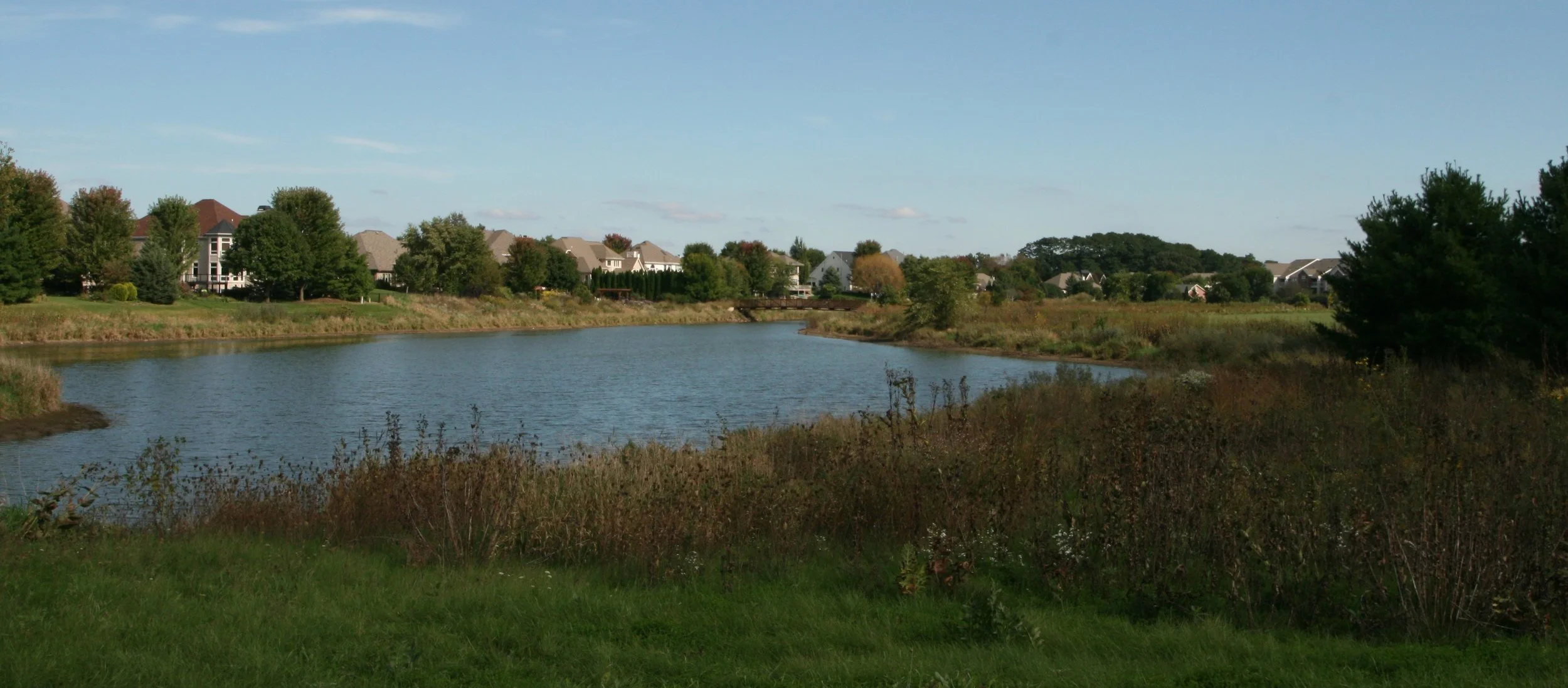 Naturalized Stormwater Management Facilities