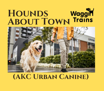 Hounds About Town vs 1.png