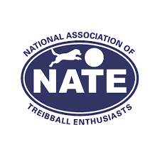 NATE Logo.png